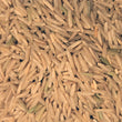 Brown Basmati Rice, organic - 100g